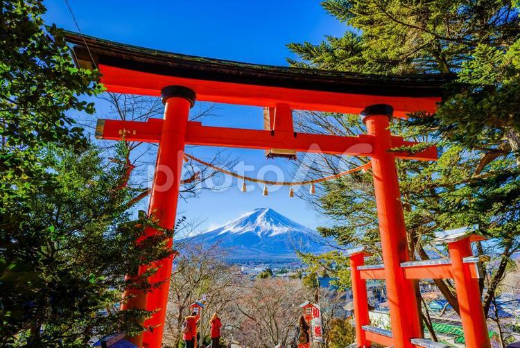 新倉山浅間神社　富士吉田 イメージ,富士吉田,富士山の写真素材
