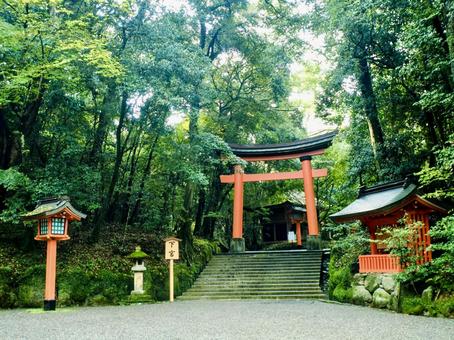 宇佐神宮 宇佐神宮,鳥居,パワースポットの写真素材
