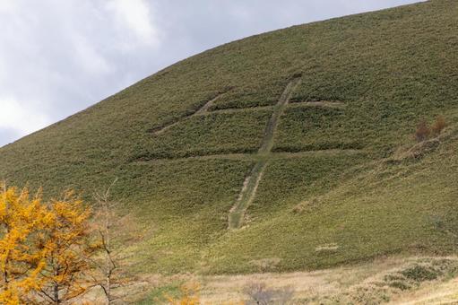 中標津の丘に描かれた「牛の字」 牛の文字,草原,斜面の写真素材