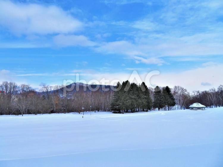 冬の北海道   北海道,冬,雪原の写真素材