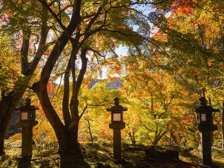 灯籠に映える錦秋の森 灯籠に映える錦秋の森 紅葉,黄葉,秋の写真素材