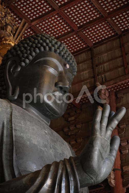 奈良　東大寺の大仏 大仏,奈良,東大寺の写真素材