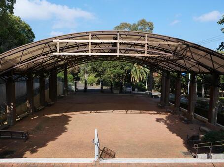伊豆大島　大島公園椿園 大島公園,椿,伊豆大島の写真素材