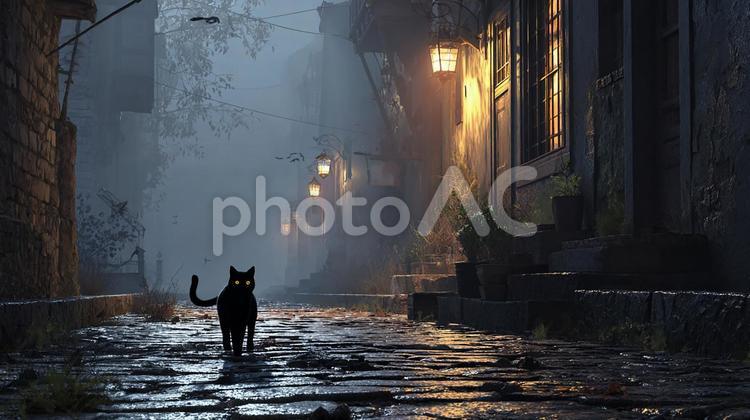 暗闇に浮かび上がる猫の目 黒猫,猫,動物の写真素材