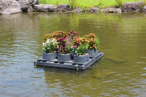 浮いた植木鉢 浮いた植木鉢の写真