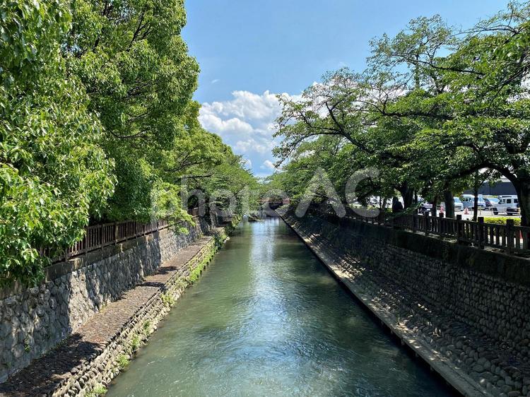 大垣城のお堀 堀,風景,散歩の写真素材