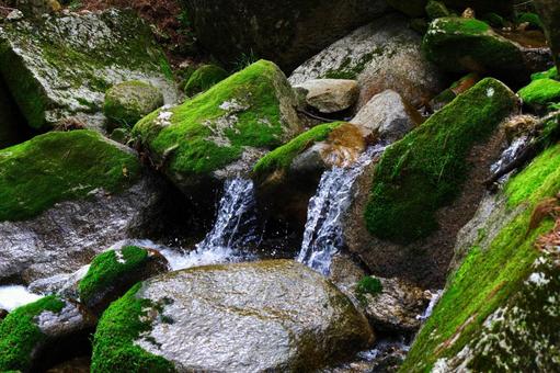 渓流19 渓流,沢,水の写真素材