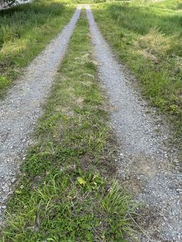 田舎の轍 田舎の轍の写真