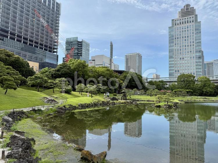 6月　旧芝離宮恩賜庭園 岩,庭石,水たまりの写真素材