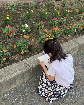 お花のスケッチをする子供 お花のスケッチをする子供 女子,花壇,女の子の写真素材