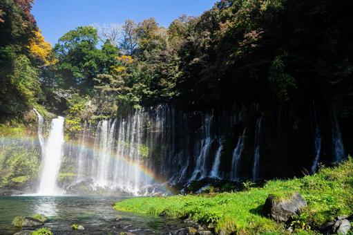 静岡 虹がかかる白糸の滝 静岡 虹がかかる白糸の滝 白糸の滝,静岡,滝の写真素材