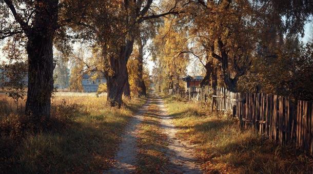 田舎の風景 田舎の風景の写真