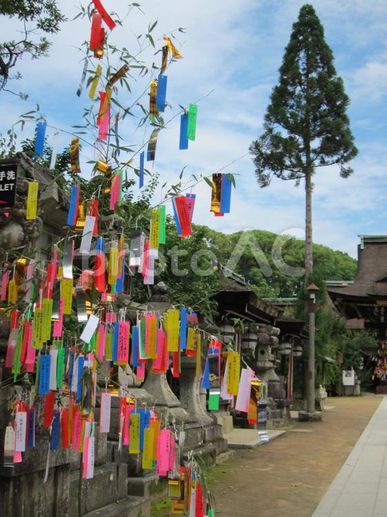 天神さんの七夕　その十一 天神さん,北野天神,七夕の写真素材