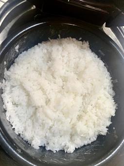 炊飯器で炊き立て美味しいご飯1 炊飯器で炊き立て美味しいご飯1の写真