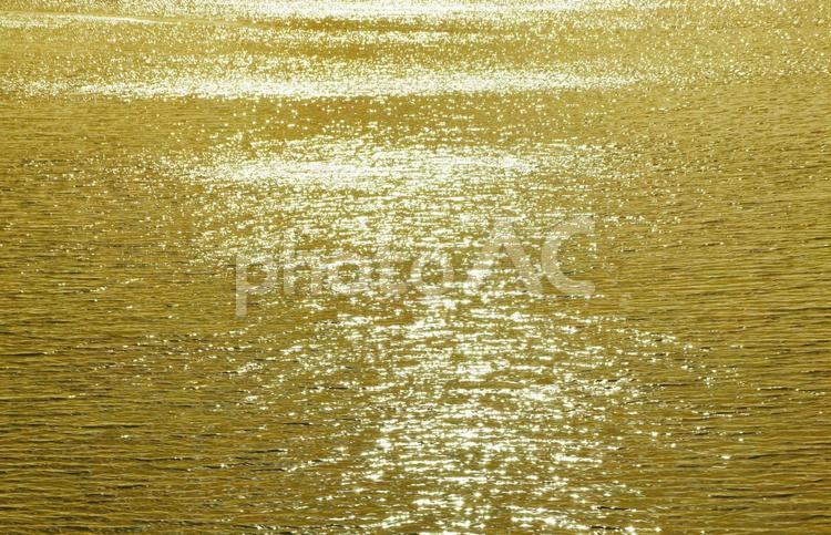 キラキラと陽光を反射する黄金色の水面 海,河川,川の写真素材
