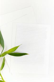 白い紙とノートの1ページと植物 白い紙とノートの1ページと植物の写真