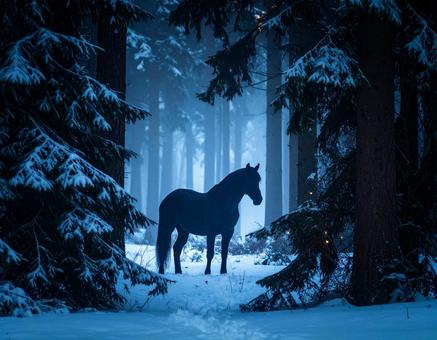 森の中の馬 森の中の馬の写真