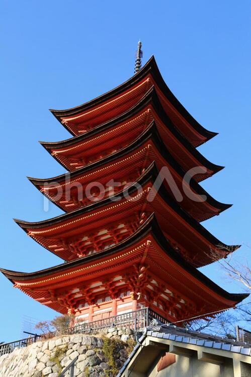 厳島神社五重塔(広島県・宮島) 厳島神社,世界遺産,安芸の宮島の写真素材