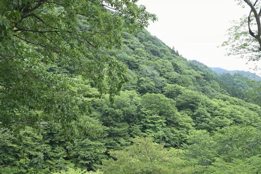 道の駅パスカル清見周辺の山 道の駅パスカル清見周辺の山 岐阜県,パスカル清見,道の駅の写真素材
