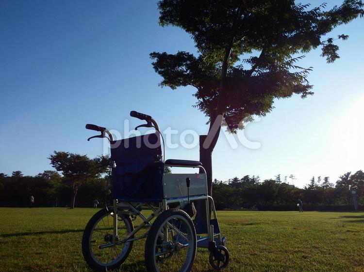 夏木立と車いす 公園,夏木立,天王の写真素材