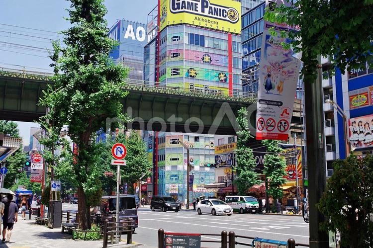 秋葉原2025夏　炎天下の中央通り 秋葉原,炎天下,中央通りの写真素材