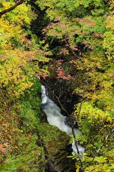秋の鳳鳴四十八滝⑹ 滝,鳳鳴四十八滝,秋の写真素材