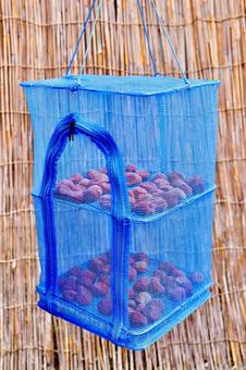 Photo, salted plum, weekend, drying net, 