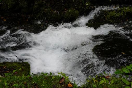 白糸の滝 白糸の滝 白糸の滝,滝,軽井沢の写真素材