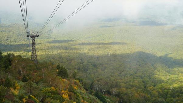 ロープウェイから眺める山肌 ロープウェイから眺める山肌の写真