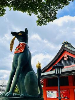 伏見稲荷 風景,空,絶景の写真素材