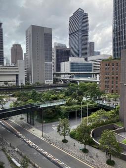 大阪市中之島のビル街 大阪市中之島のビル街 大阪市中之島,ビル街,大阪の写真素材