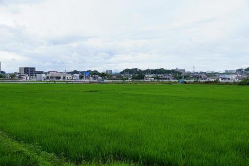 田舎の風景 田舎の風景の写真