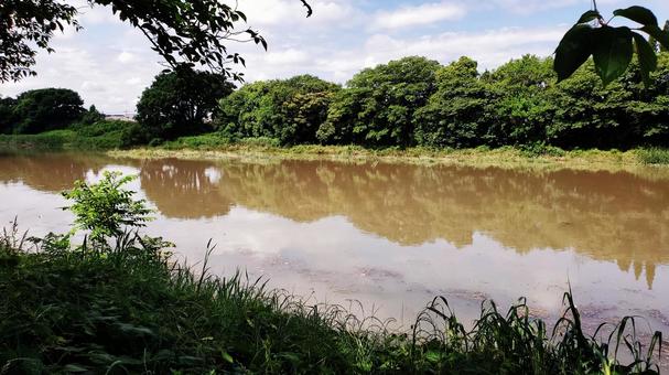 増水した河川・元荒川 白岡市付近 増水した河川・元荒川 白岡市付近 元荒川,河川,白岡市の写真素材