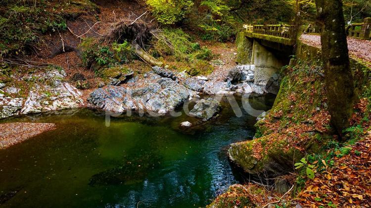上帝釈峡の美しい紅葉 秋,紅葉,黄葉の写真素材