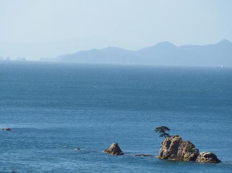 一本松の小島 一本松の小島 小島の一本松,一本松,瀬戸内海の風景の写真素材