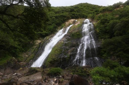 滝 滝の写真