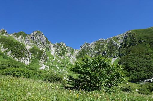 夏の山 千畳敷カール 夏の山 千畳敷カール 夏,山,青空の写真素材