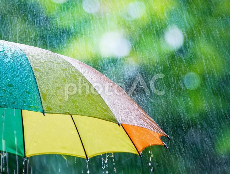 雨の日の傘 雨,傘,梅雨の写真素材