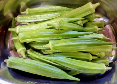 野菜*収穫したオクラ*家庭菜園 野菜*収穫したオクラ*家庭菜園の写真
