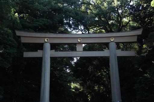 明治神宮 鳥居 明治神宮 鳥居の写真