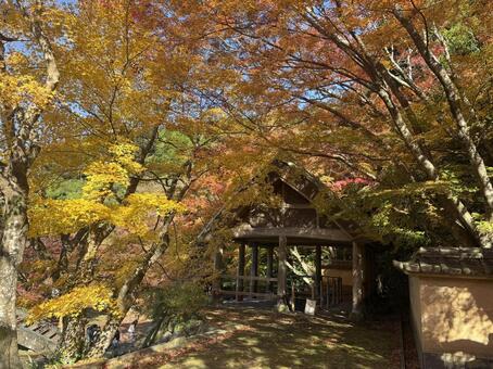 紅葉の大川内山　(伊万里) 秋,冬,紅葉の写真素材