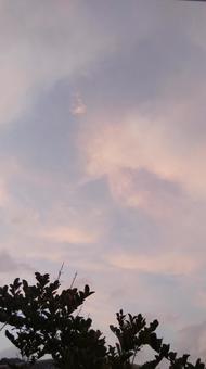夕空 夕空の写真