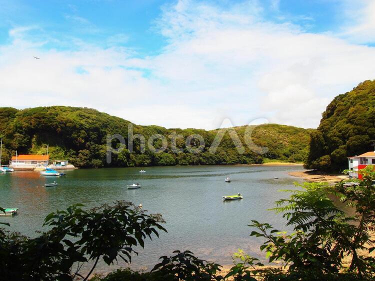 森に囲まれた静かな湾 湾,森,海辺の写真素材