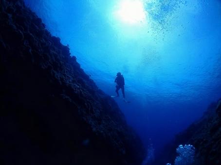 沖縄の海とダイバー 海,地形,水中写真の写真素材