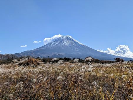 すすきと見る朝霧富士 富士山,冬,自然の写真素材