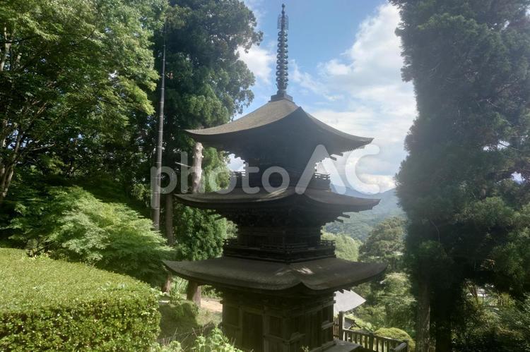 長野県-大法寺-国宝-三重塔 大法寺,寺,一乗山の写真素材