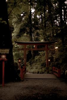 フィルムカメラ風の神社の写真 フィルムカメラ風の神社の写真の写真