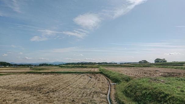 田んぼ 田んぼの写真