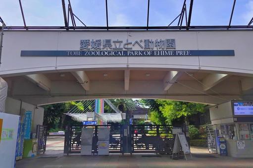 愛媛県立とべ動物園 愛媛県立とべ動物園 愛媛県立とべ動物園,とべ動物園,愛媛県の写真素材