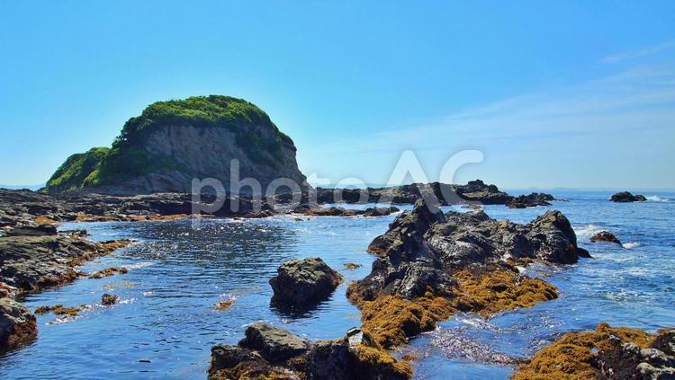 干潮時の磯の景色 海,夏休み,冒険の写真素材